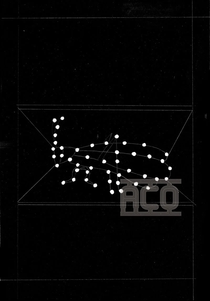 fil sauterelle e-cosmique03.jpg