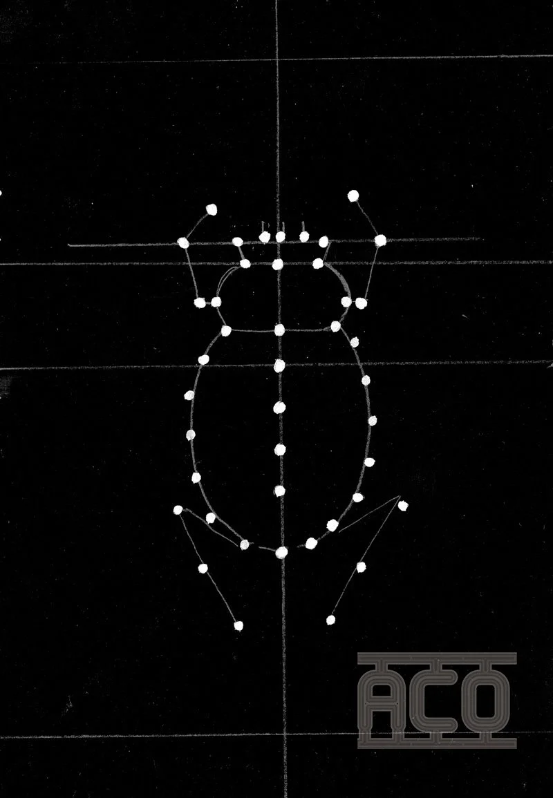 fil scarabee-cosmique02.jpg