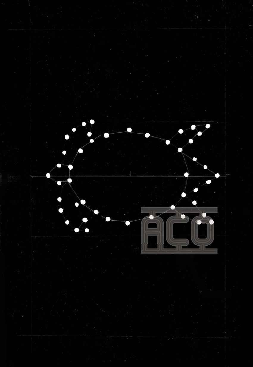 fil tortuee-cosmique08.jpg