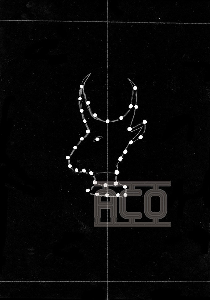 fil vachettee-cosmique11.jpg