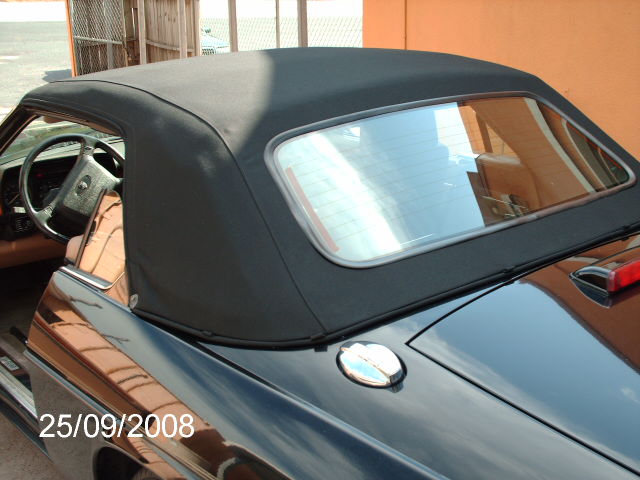 from camera 61813 313.JPG