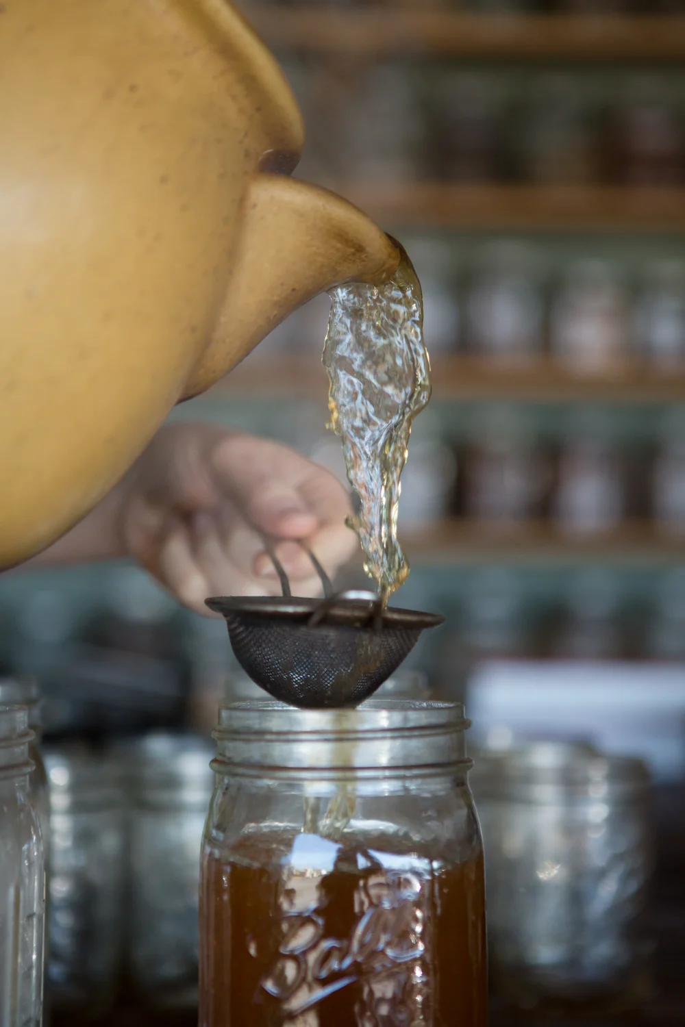 Chinese Herbal Medicine — Meridian Louisville