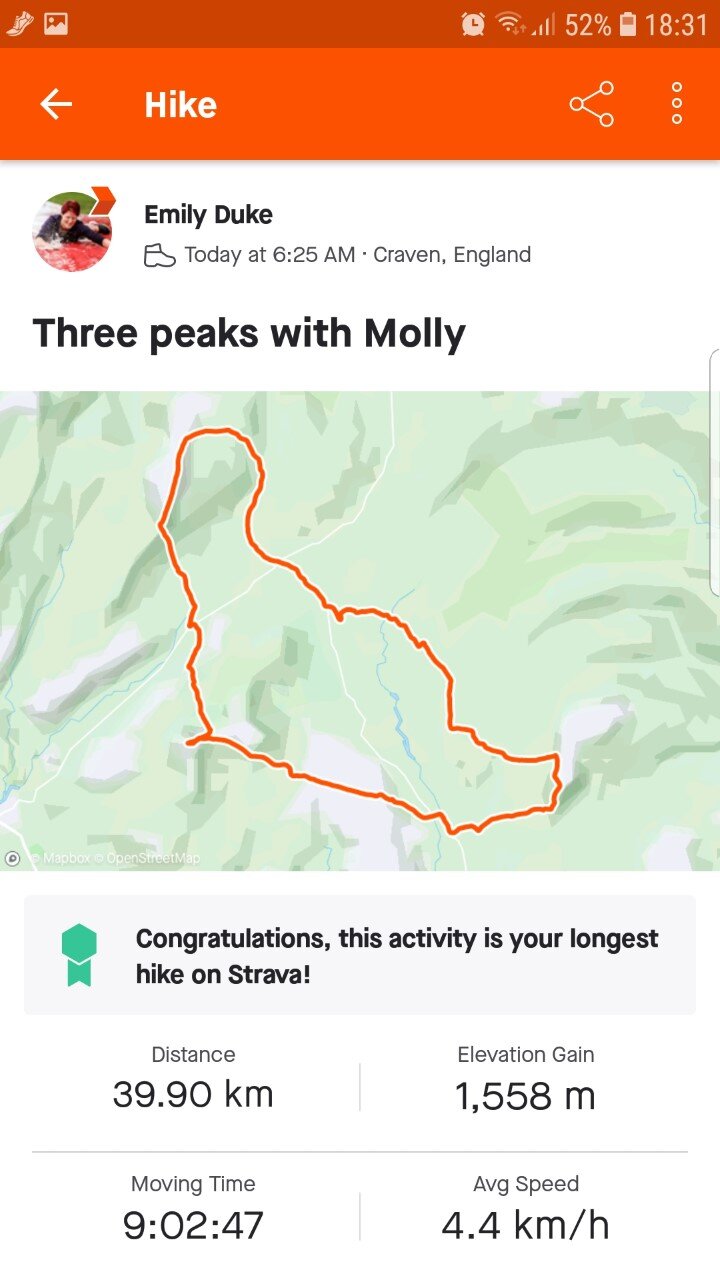 strava.jpg