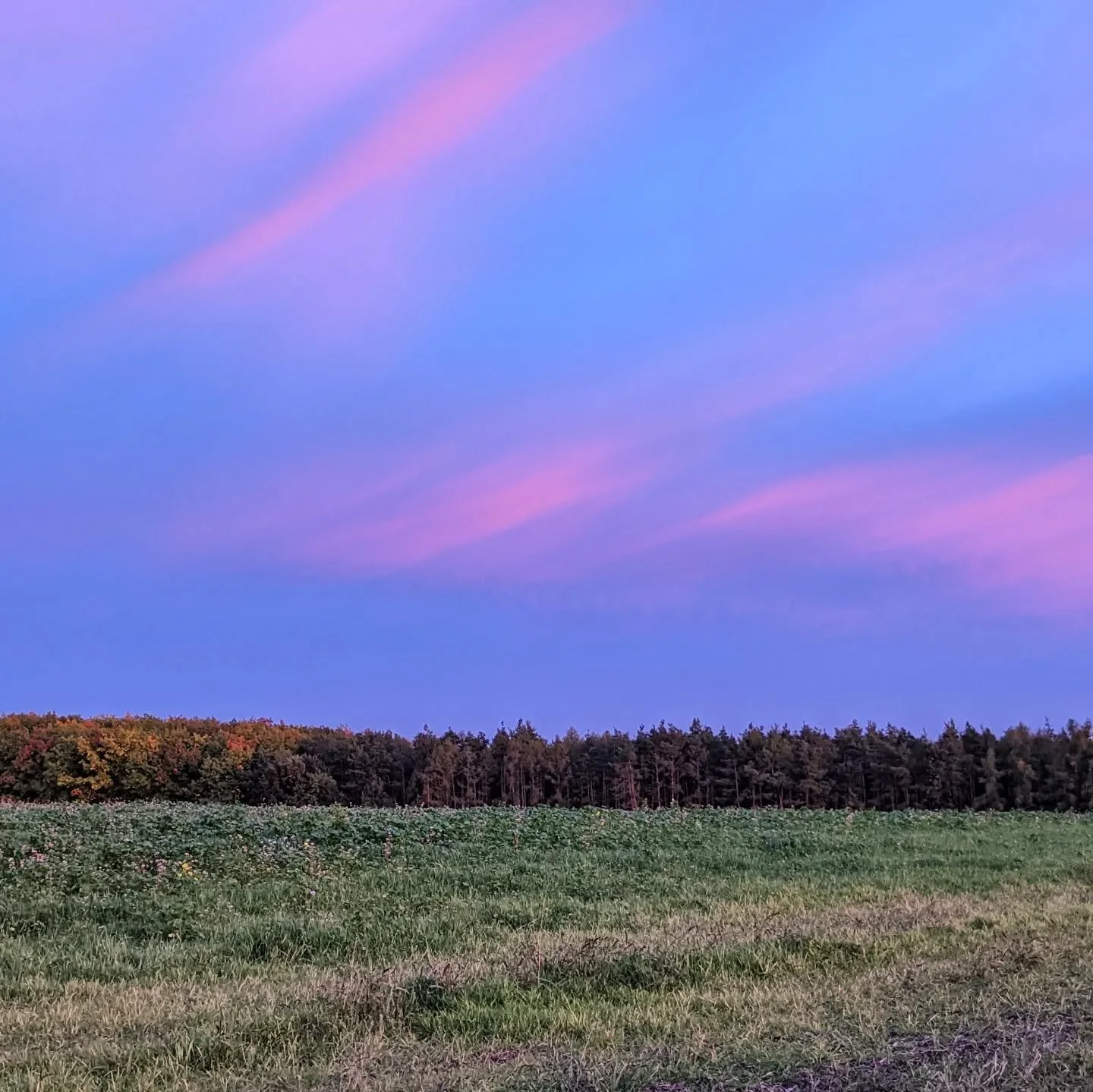 Just a touch of color