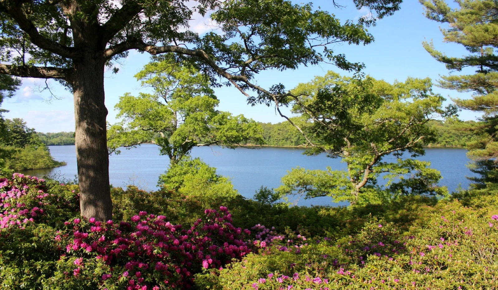 wenham-lake-1598x933.jpg