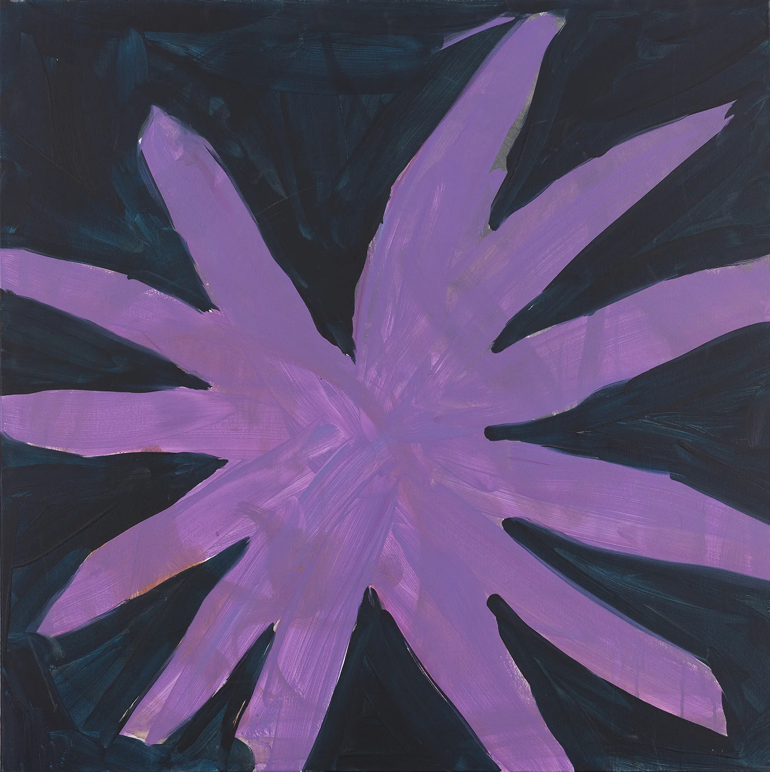 flower, violett, "B & W", 2010