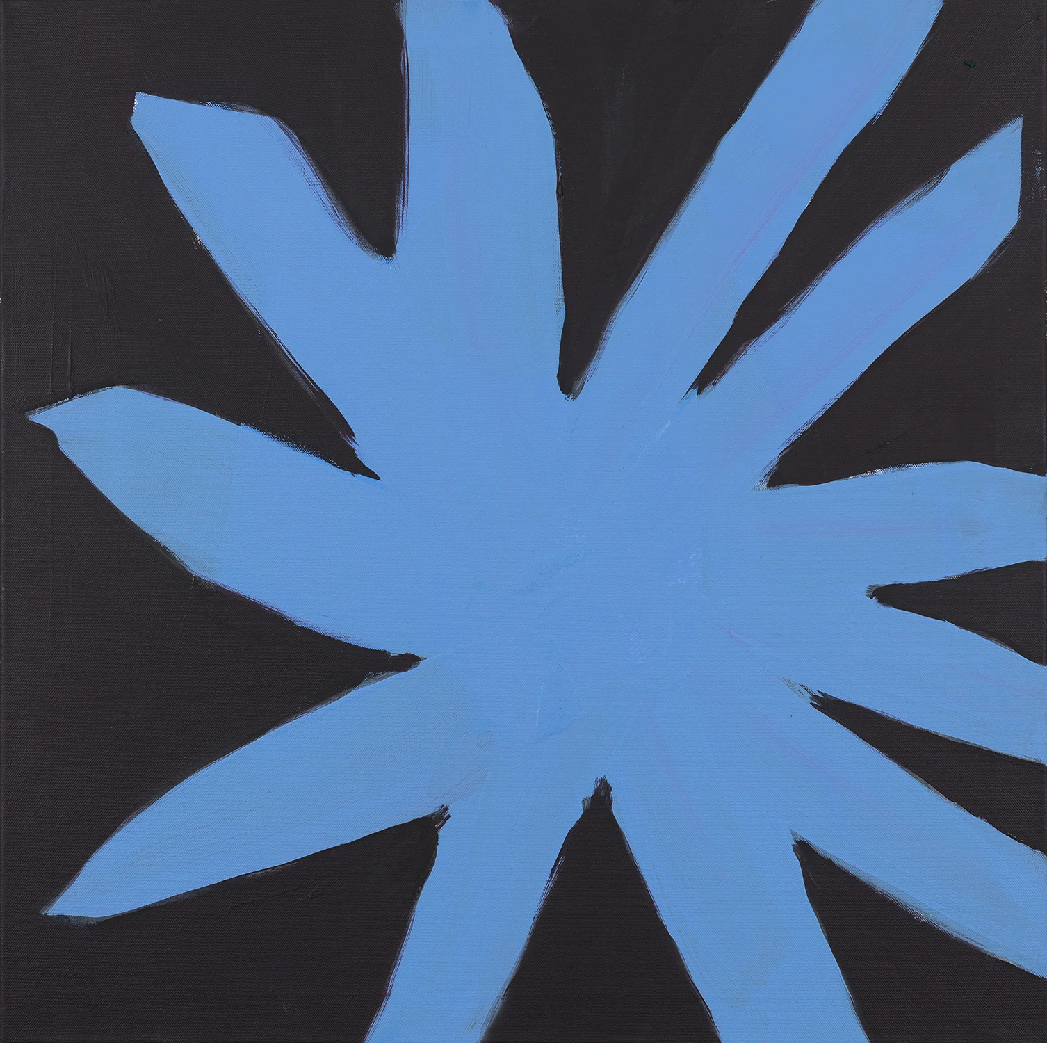flower, kobalt - black, "B & W", 2010, 2014