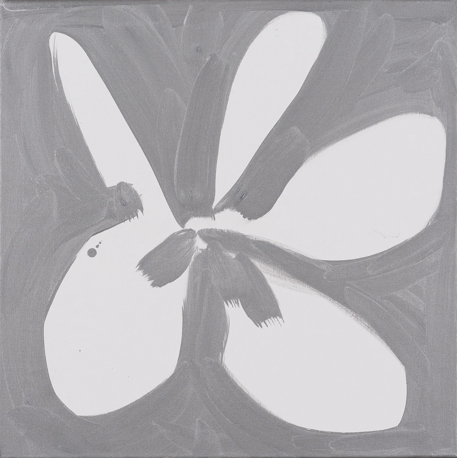 flower, white, silver, black, 2014