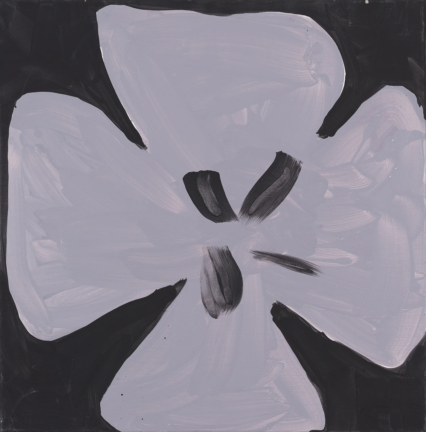 flower, silver, black, 2014