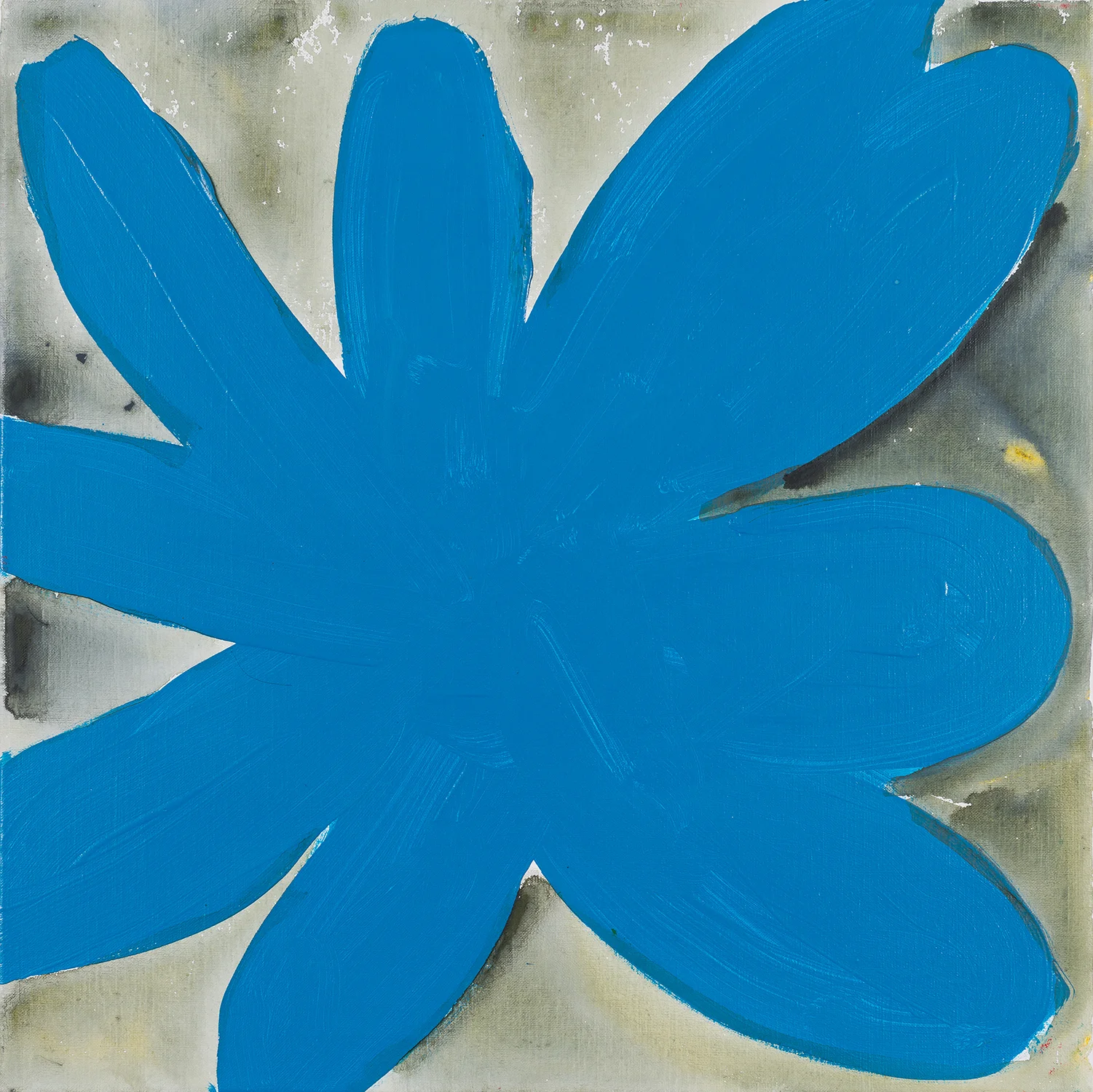 flower, blue, black, white, 2015