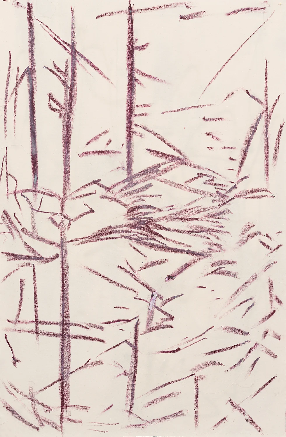 violett wrinkle of deleuze, 2015