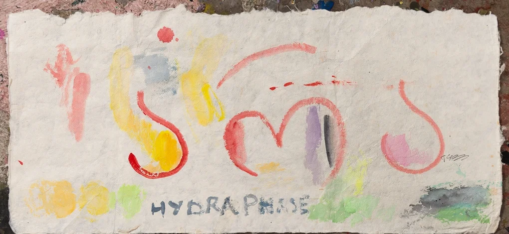 ara - HYDRAPHASE, 2004