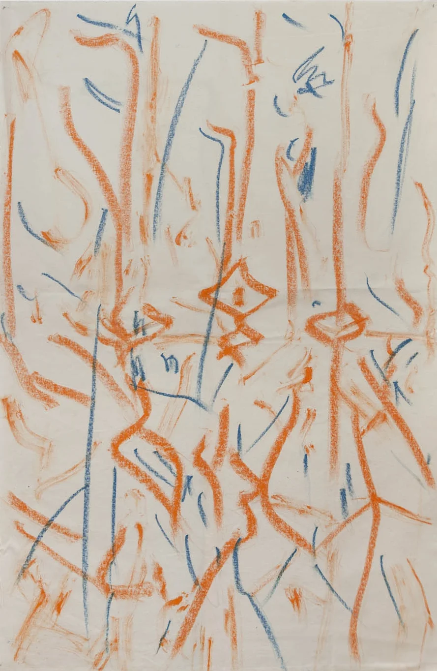 orange wrinkle, 2015
