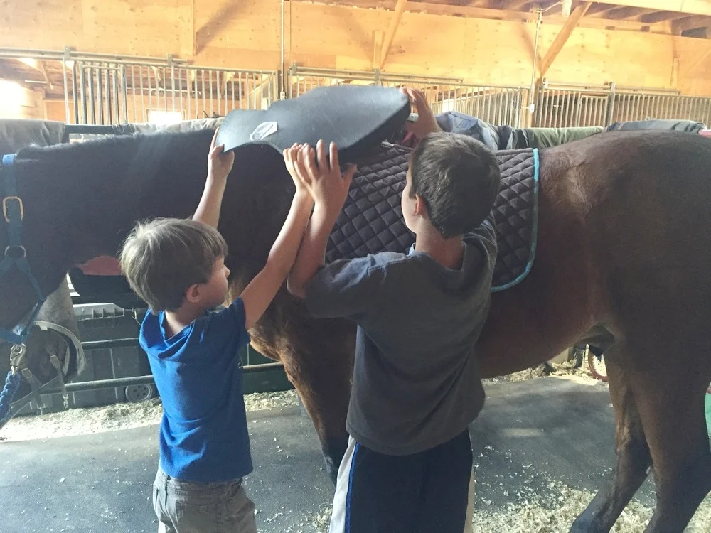 marek eli legend tacking.jpeg