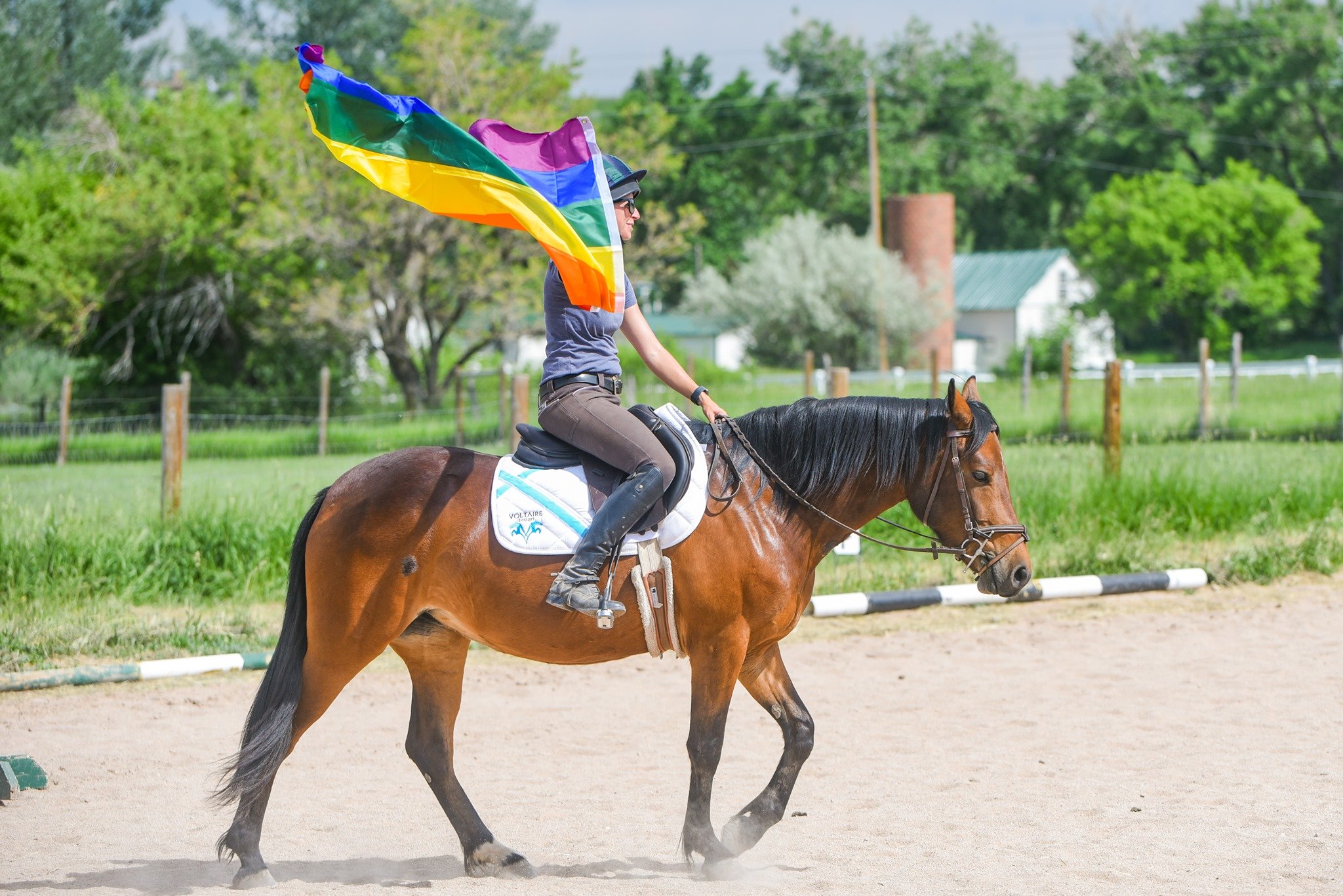 Becoming a Herd: Equine Therapy Programming for Queer Youth and Allies: QT Thursday Group