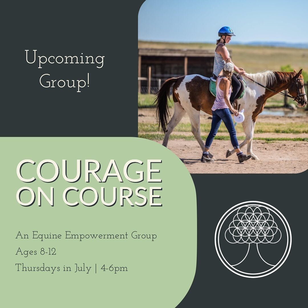 We are excited to be running our Courage on Course empowerment group that focuses on building conﬁdence and healthy boundaries, by working with equine partners. 

This program aims to help young adults learn to stand their ground, practice self-care,