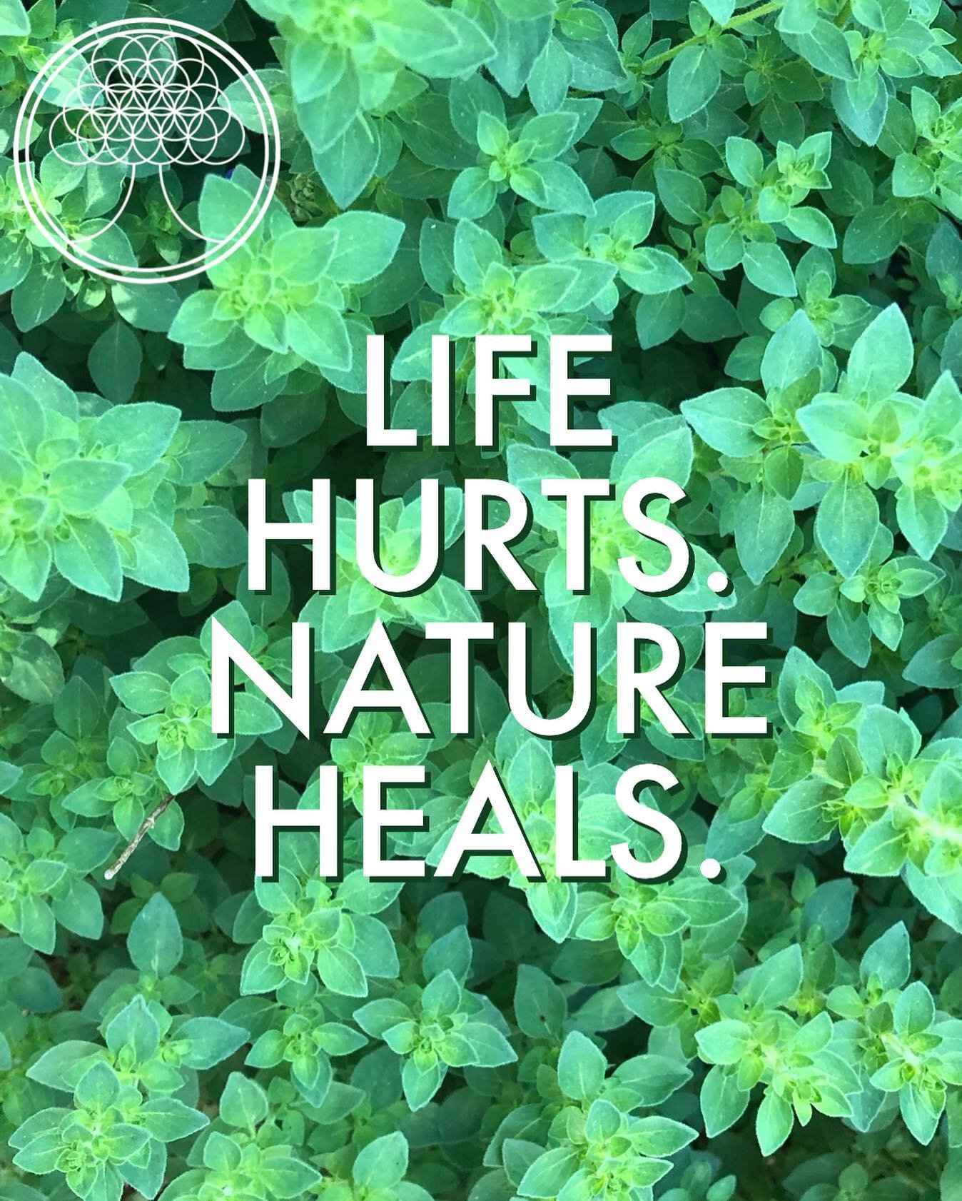For anyone new here or just a friendly reminder for those stopping by. Nature Heals is a 501 (c)(3) service organization that provides nature-based therapies in order to improve the mental and emotional well-being of children and/or adults who would 