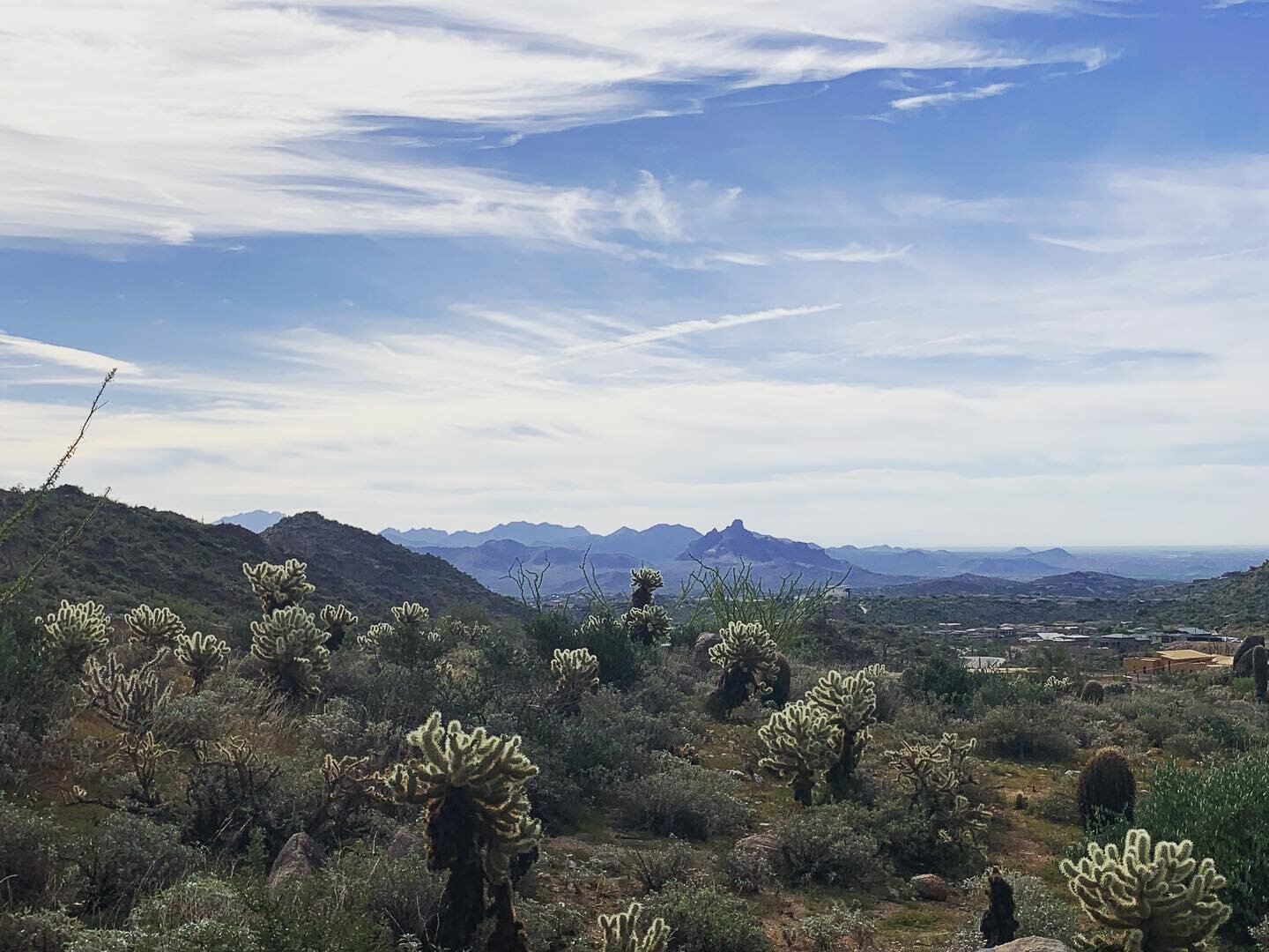 &ldquo;Some beautiful paths cannot be discovered without getting lost&rdquo; 
 ~Erol Ozan

Where would you get lost? 

🌵
🌵
🌵
🌵

#natureheals #timeoff #sonorandesert #seguaro #wildtime #naturetime #findyourhappy #mentalhealth #mentalhealthawarenes