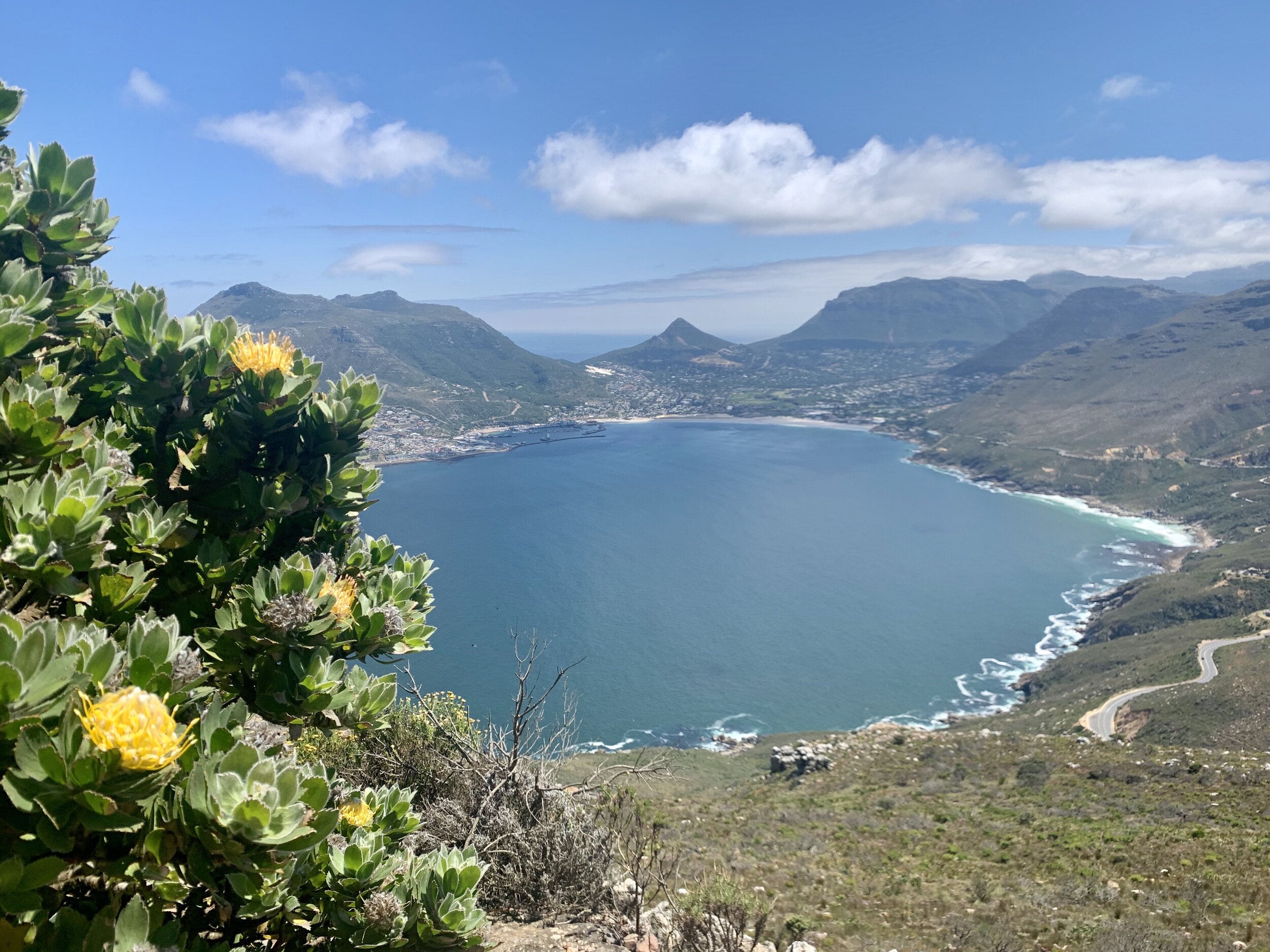 South Africa Hiking Hout Bay Champan's Peak Pathways Active Travel