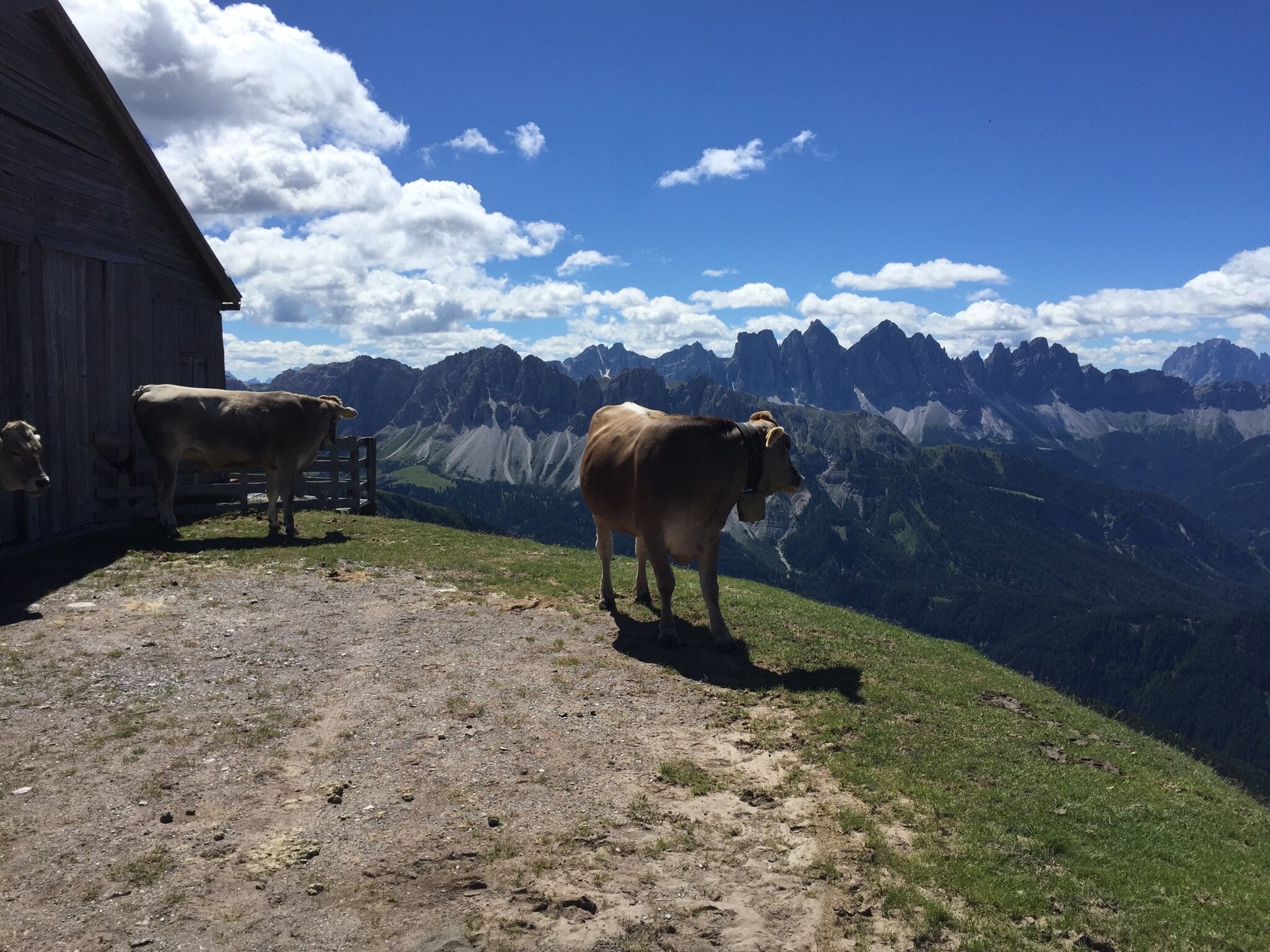 Italian Dolomites Alta Via 2 Hut to Hut Hiking Pathways Active Travel