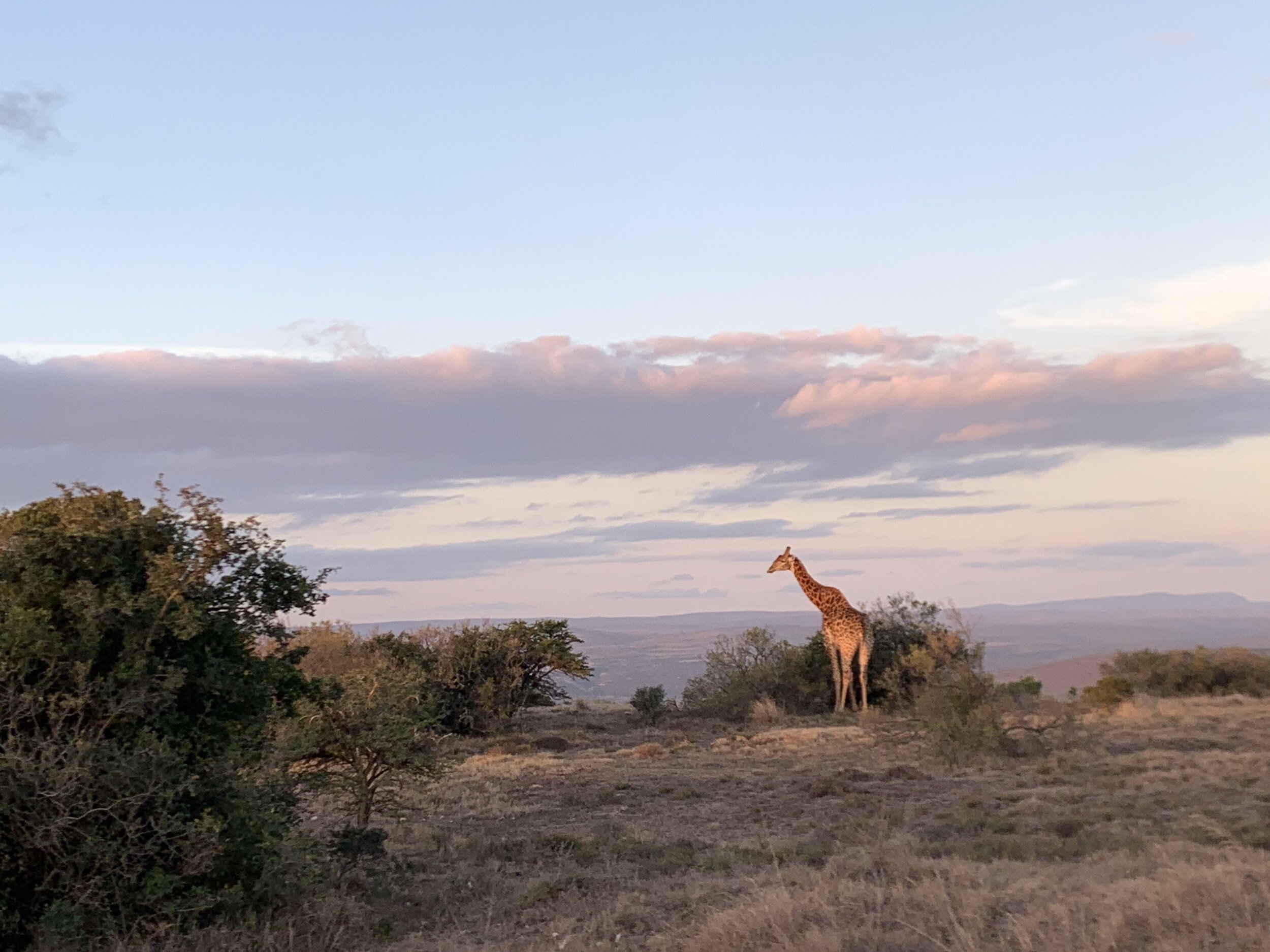 South Africa Safari Pathways Active Travel