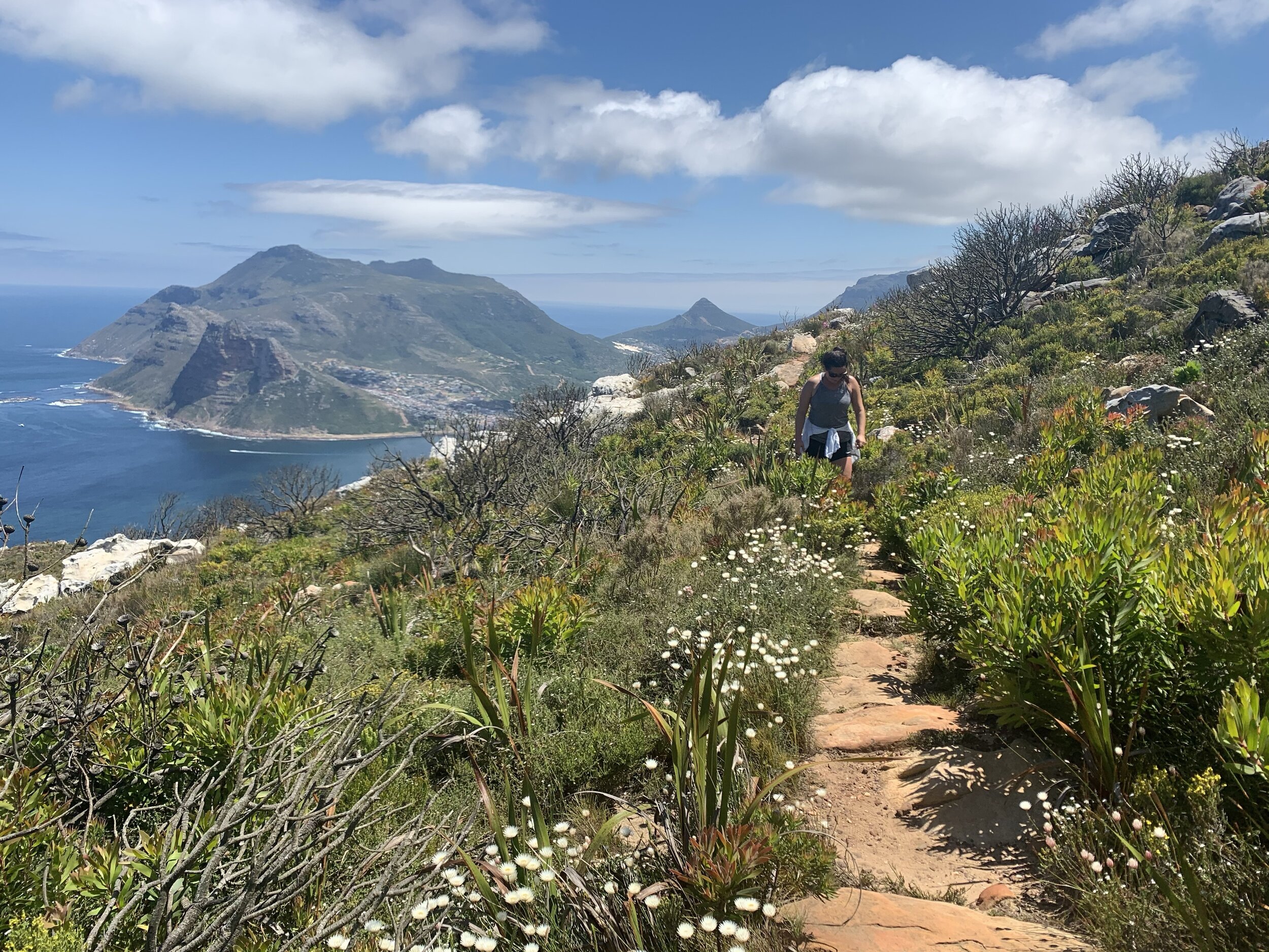 South Africa Honeymoon Safari Pathways Active Travel