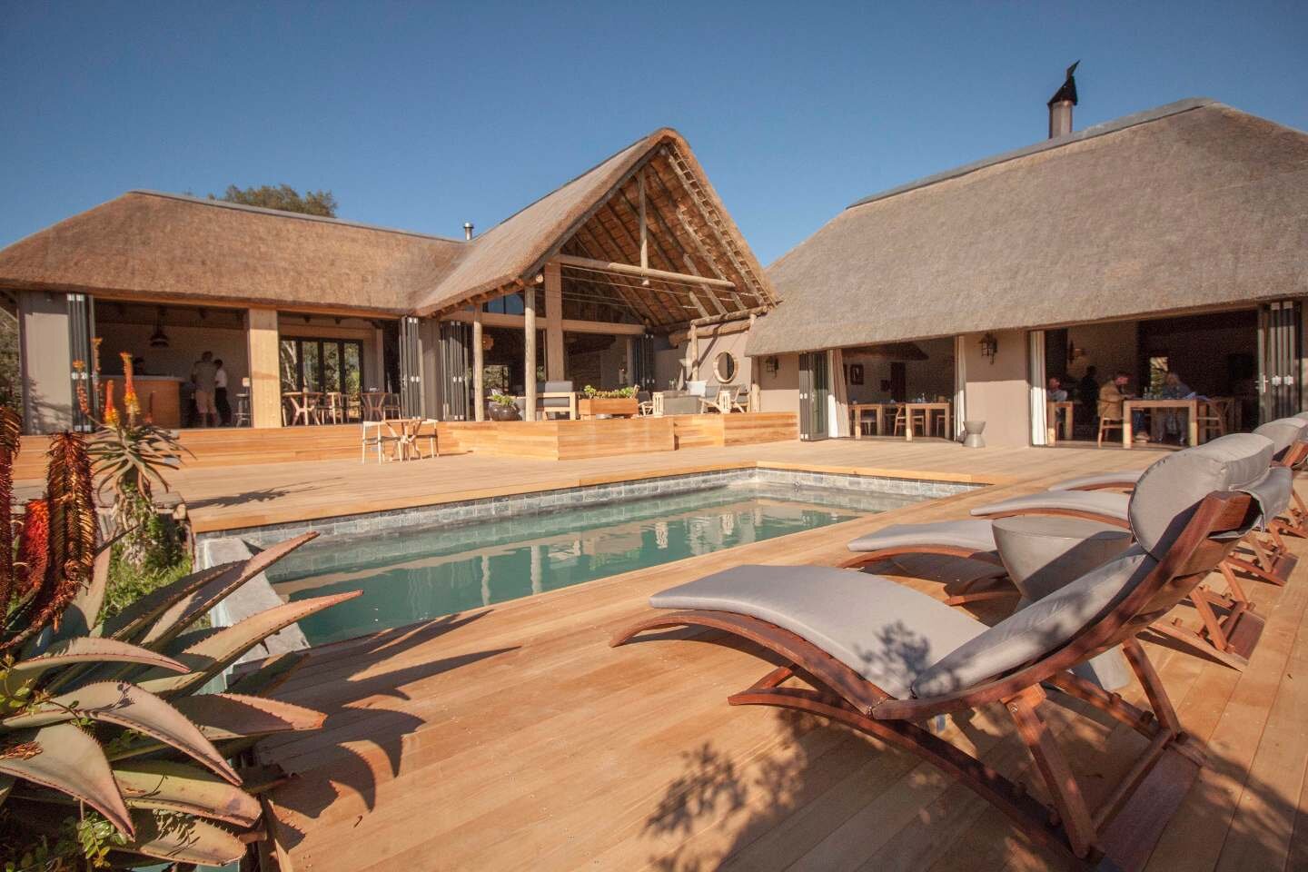 South Africa Honeymoon Bukela Game Lodge