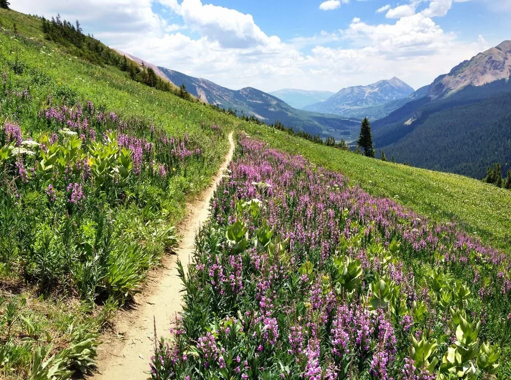 Crested Butte & Elk Mountains Pathways Active Travel