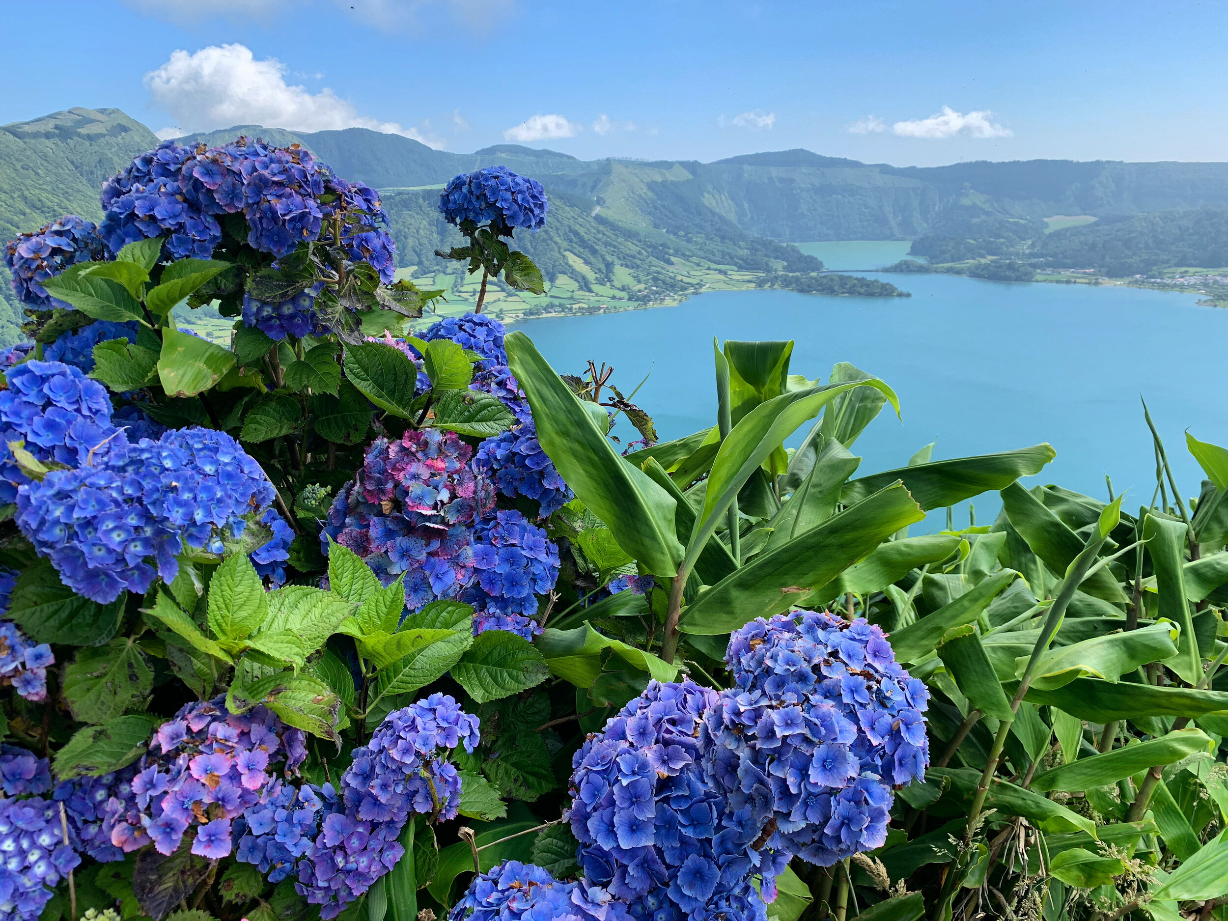 THE AZORES