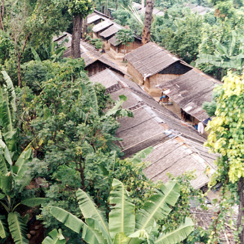  The forest and plants have grown a lot since the camp was first established.&nbsp;  Indra /  PhotoVoice / LWF  