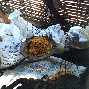 When giving rations they give everything by measuring on the beam balance. We receive things according to the number of family members. If a family has small babies then the rations will be sufficient… 