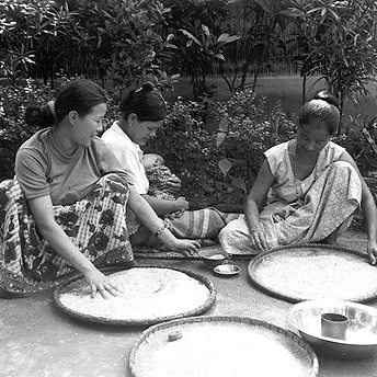   We have to work to prepare the rice we are given in rations for eating.&nbsp; The rice can be very dirty.&nbsp; It contains germs and small pieces of stone which are harmful to our health.&nbsp; All of these must be taken out before we can eat the 