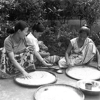 We have to work to prepare the rice we are given in rations for eating. The rice can be very dirty. It contains germs and small pieces of stone which are harmful to our health. All of these must be taken out before we can eat the rice. Bhimma / PhotoVoice / LWF