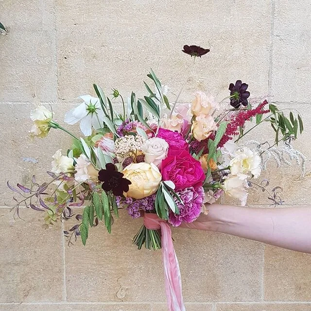 Chocolate Cosmos for the win, everytime!