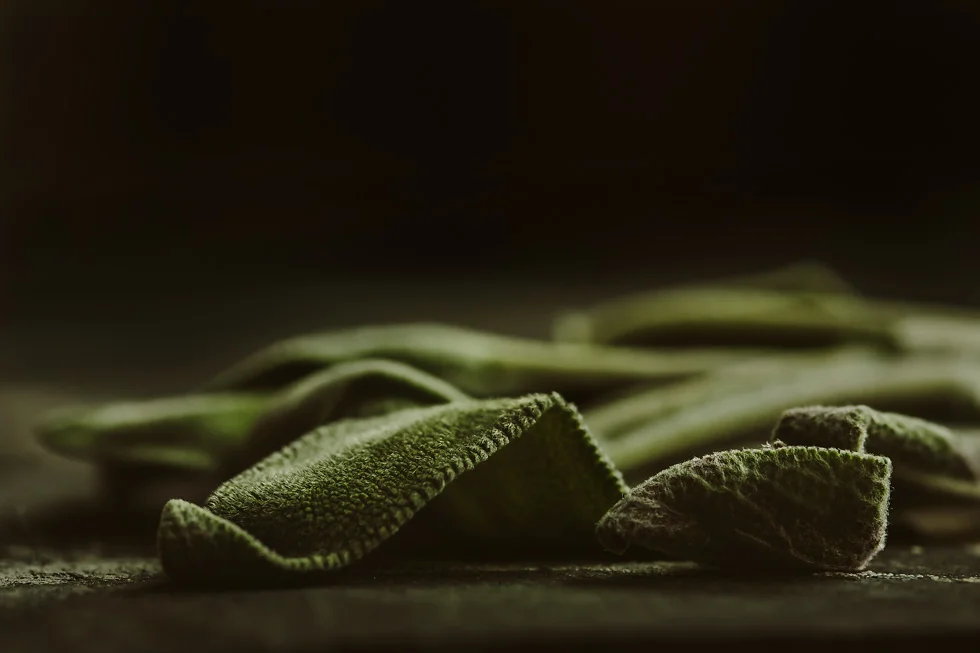 still_life_stolte_j-2.jpg