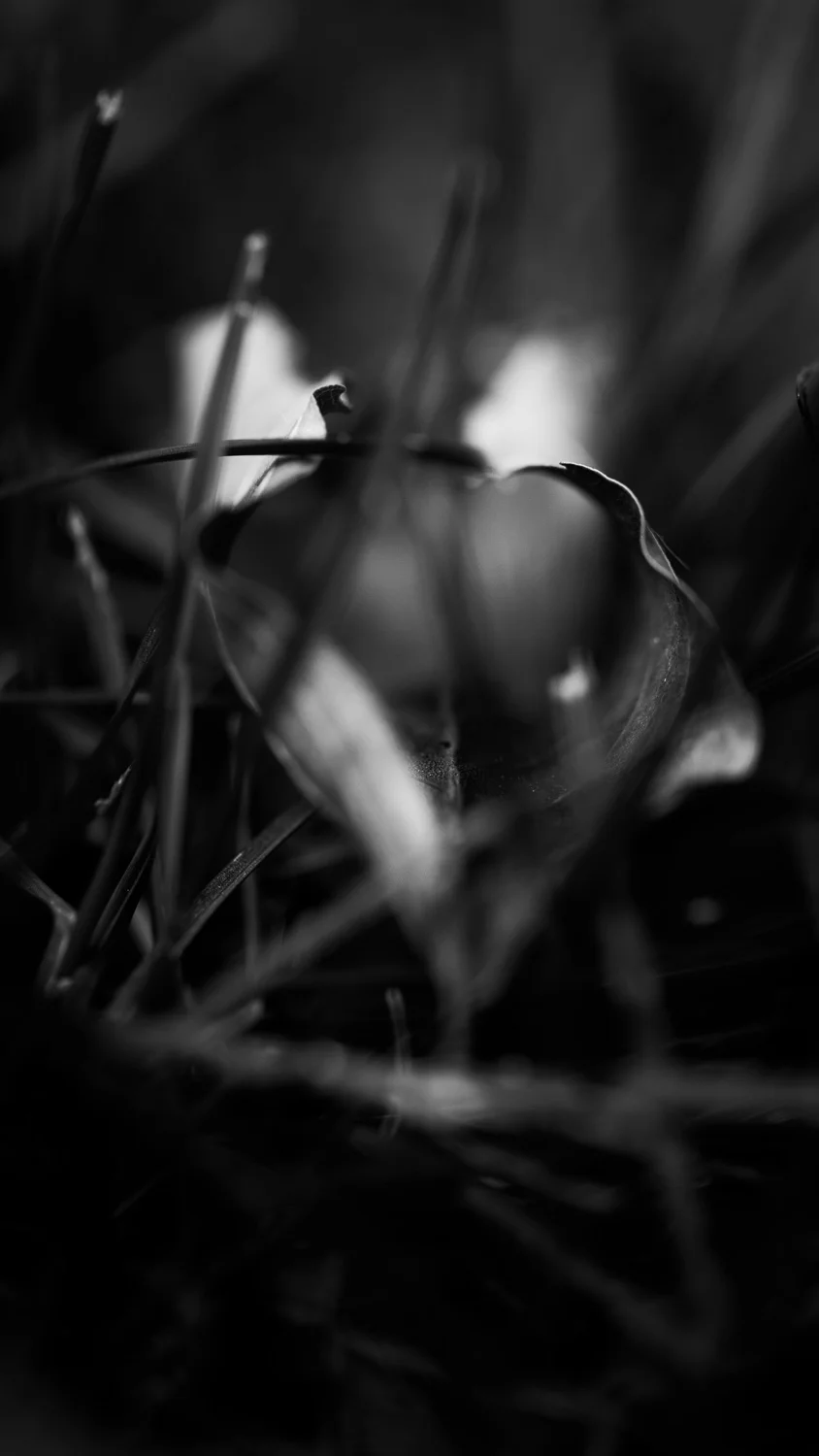 abstract-10.jpg