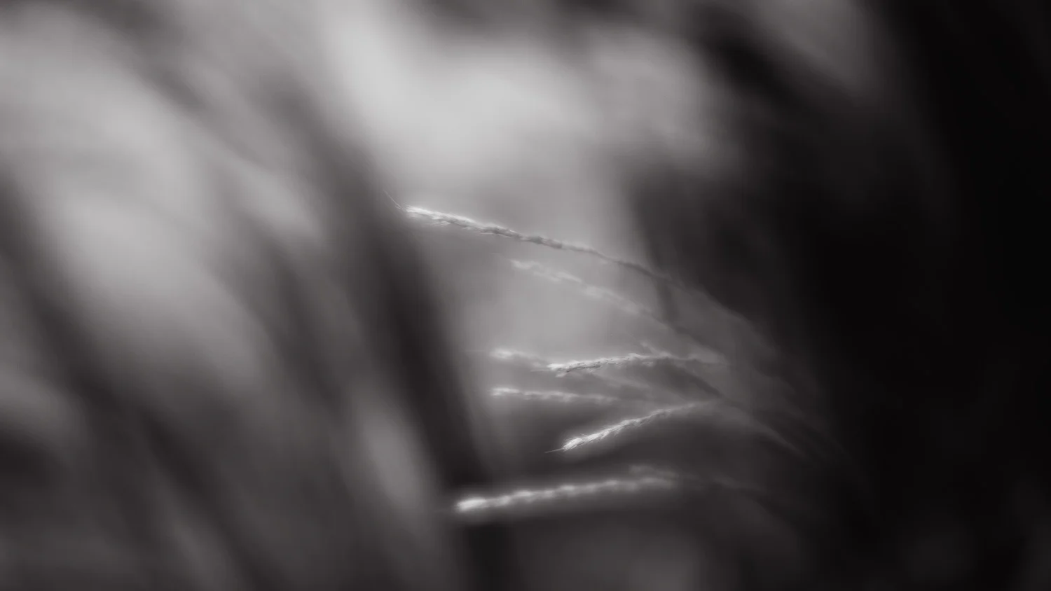 abstract-13.jpg