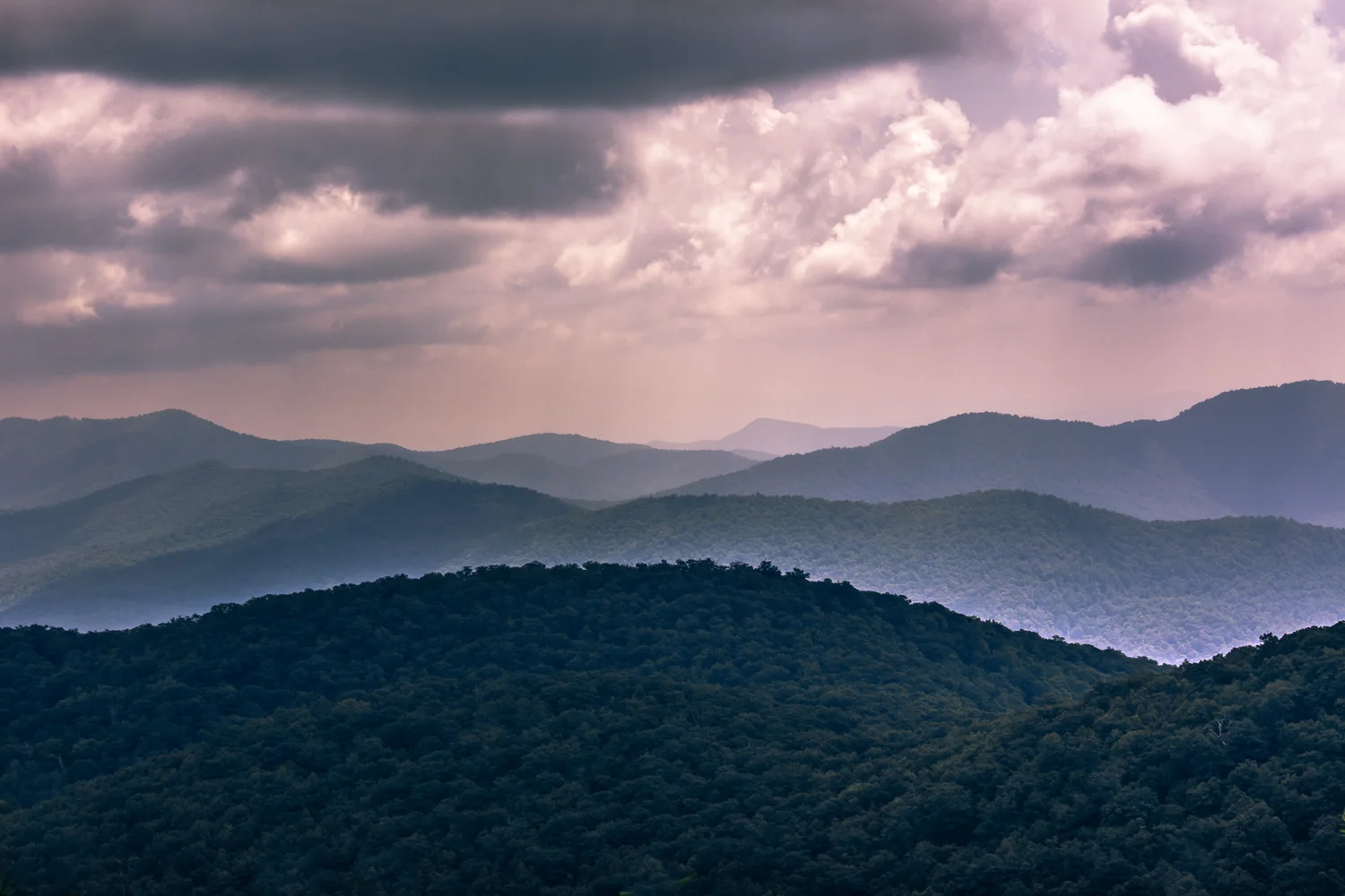 scapes-1.jpg