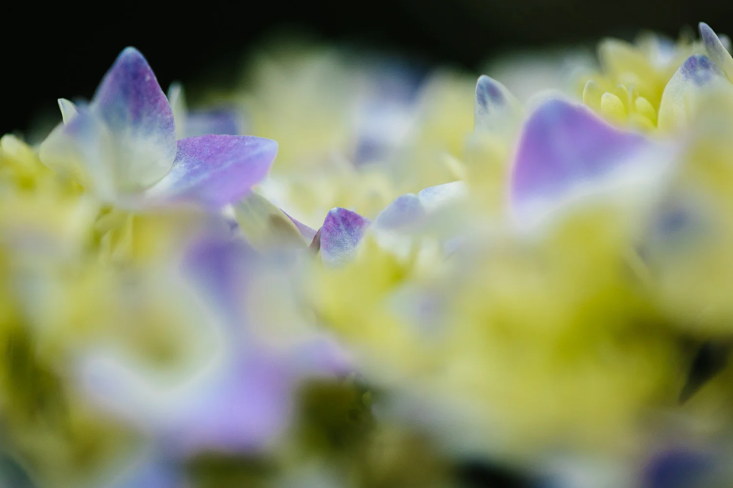 nature-10.jpg