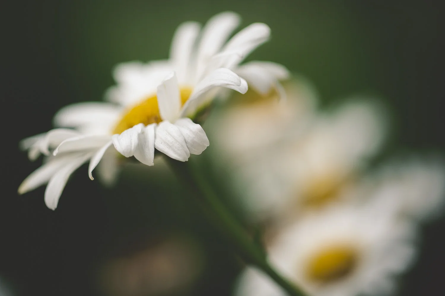 nature-14.jpg