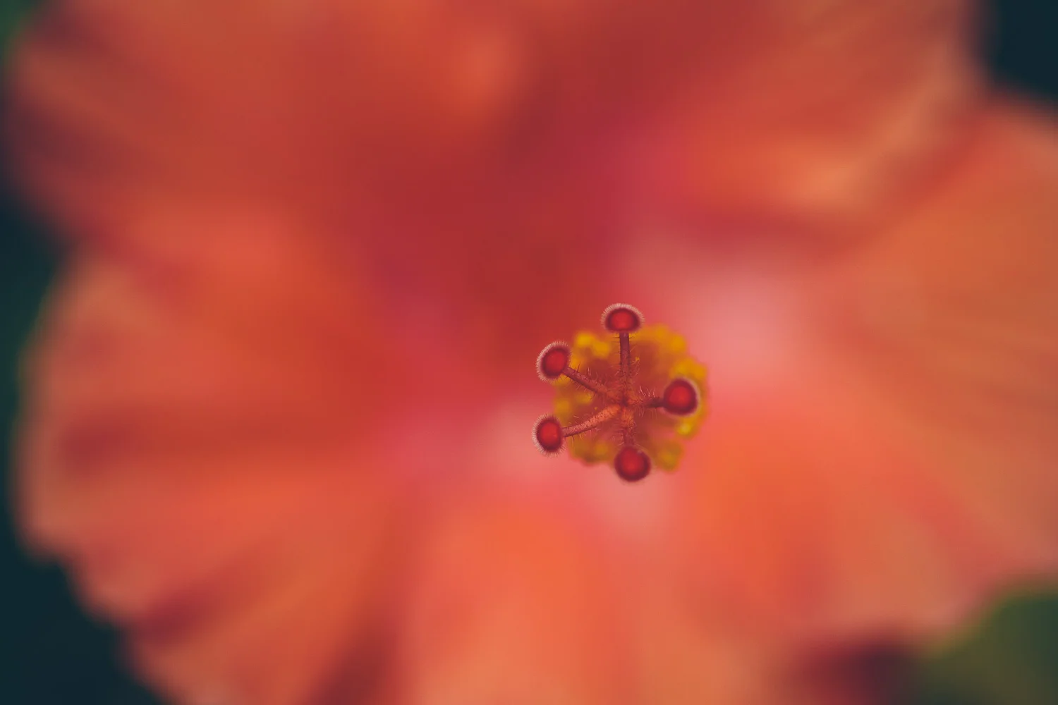 nature-15.jpg