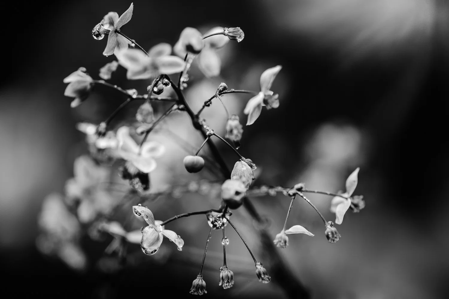 nature-30.jpg