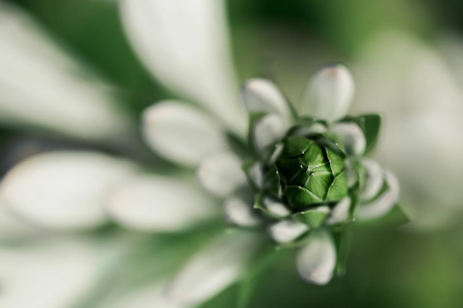 nature-32.jpg