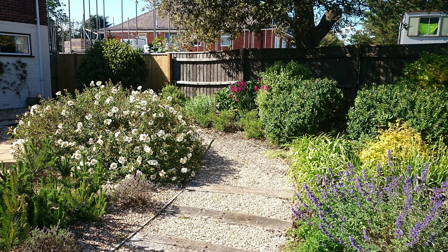 frontgarden2_s.jpg