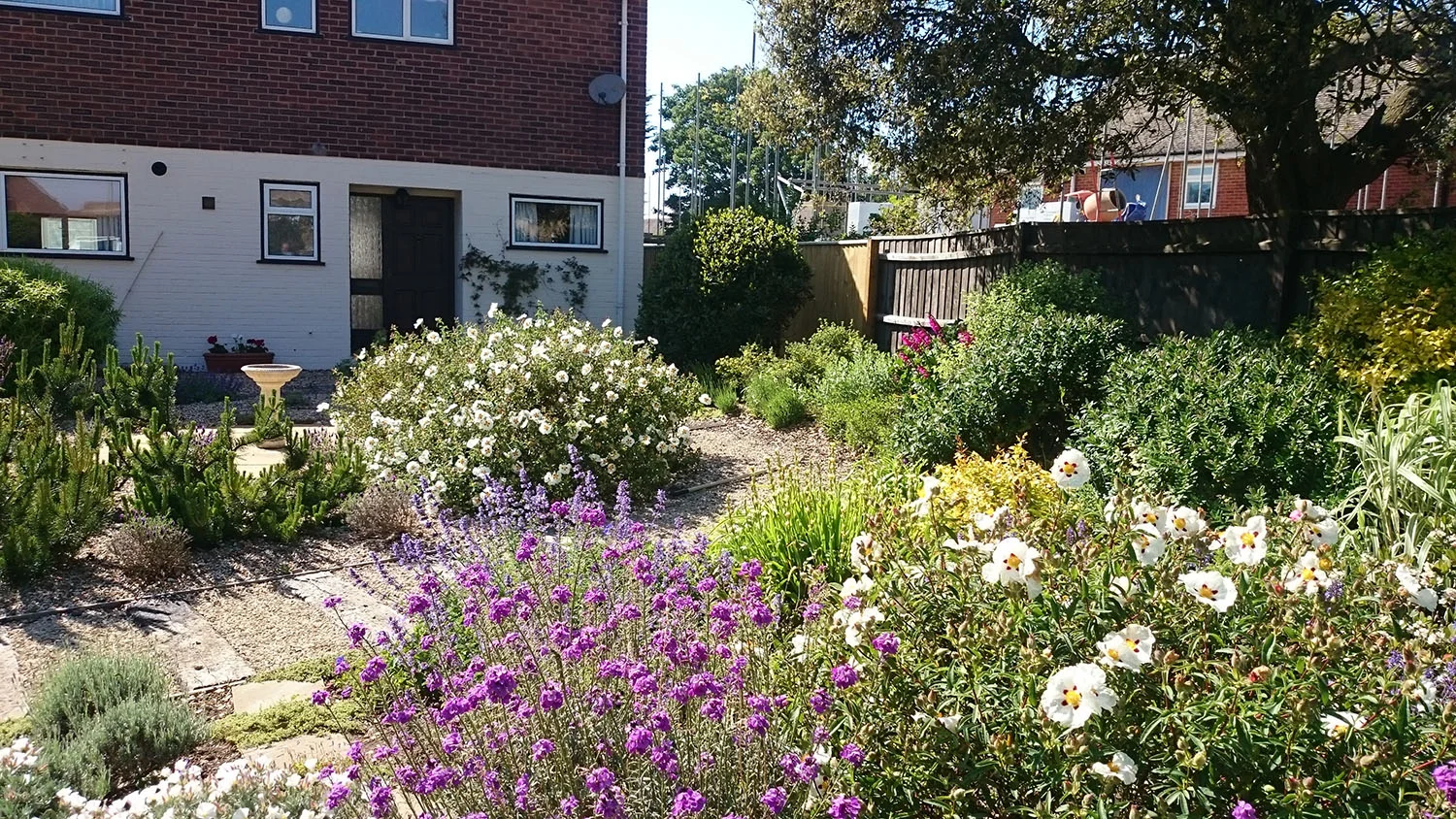 frontgarden3_s.jpg