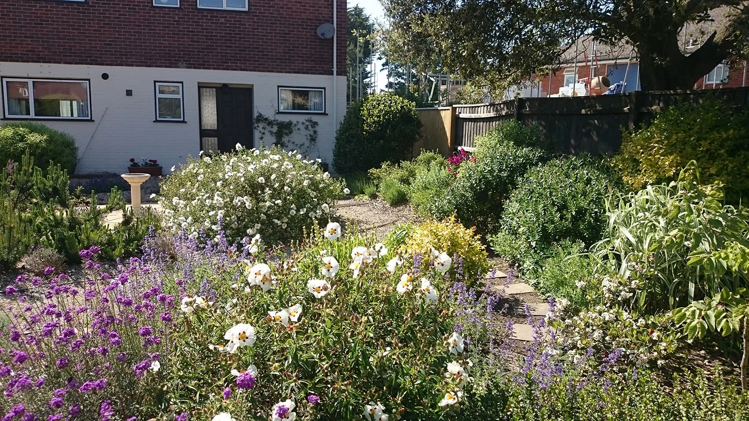 frontgarden5_s.jpg