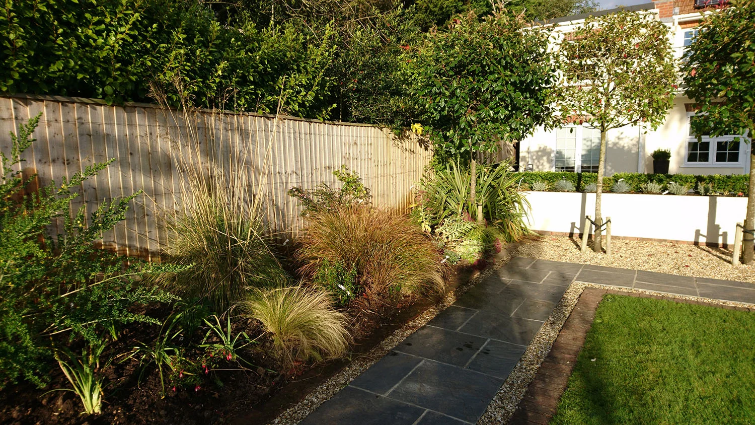 Sunny Border