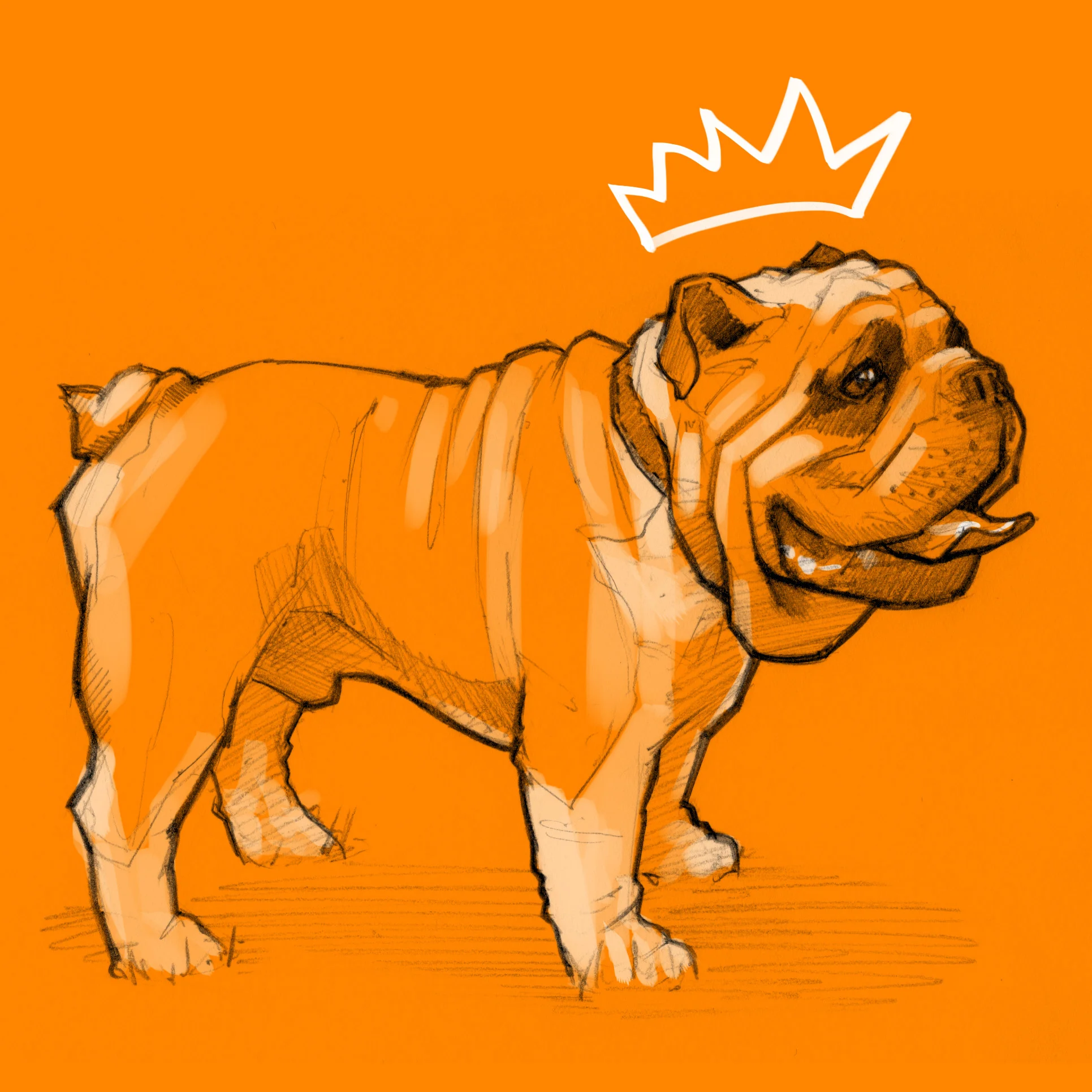 buddy2.jpg