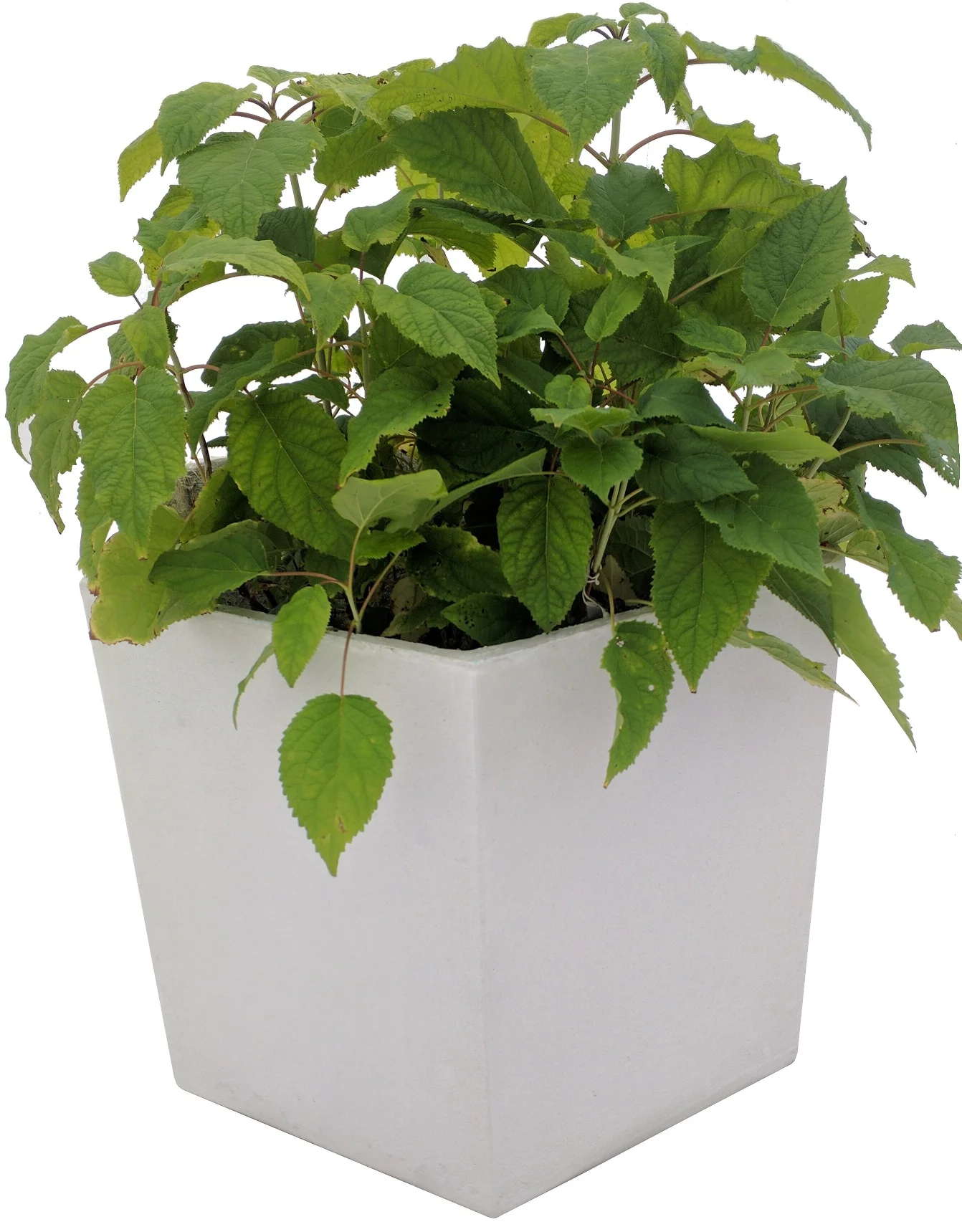 Geometric Hexamod Planter