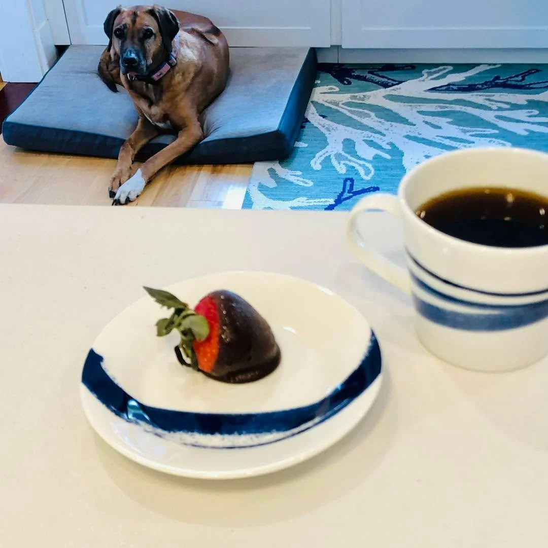 Celebrate chocolate on concrete counters with coffee. and cute dogs. 

#WorldChocolateDay #concretebar #chocolate #concrete #concreteconstruction